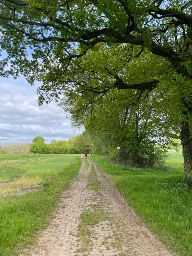 Luxus Lindenhof Apartments -Ferienwohnungen In Friesland An Der Nordsee Am Naturschutzgebiet Urwald Neuenburg  Zewnętrze zdjęcie